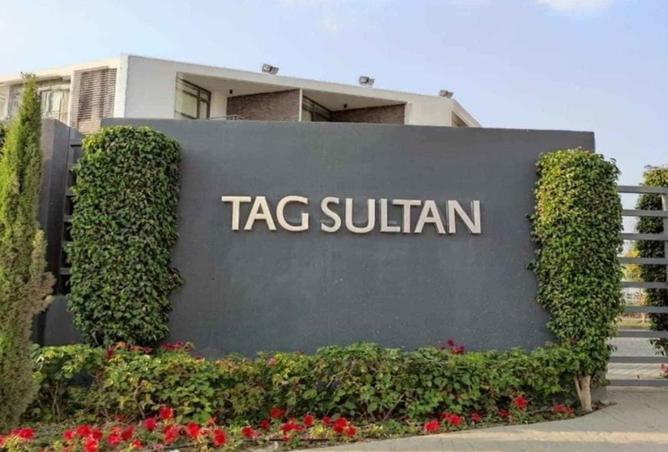 8513493 - Property Image 3