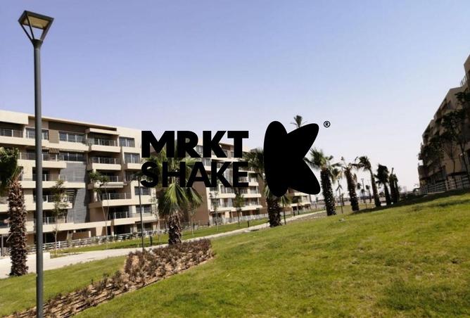 8558011 - Property Image 3