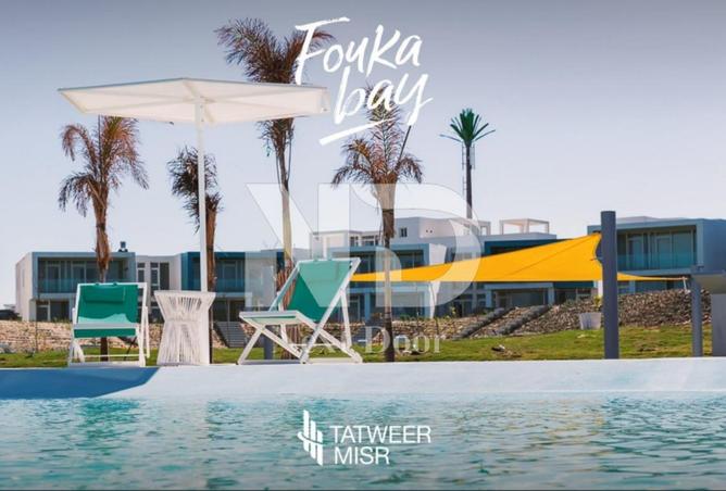 7781255 - Property Image 2