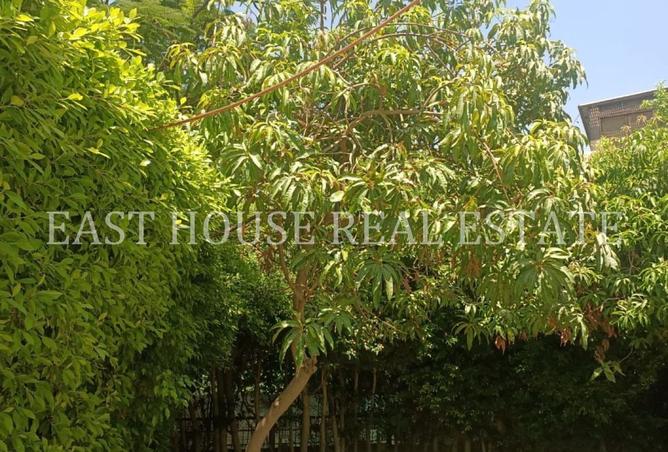 8183209 - Property Main Image