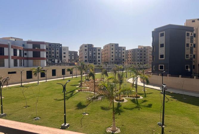 7993526 - صورة العقار 2