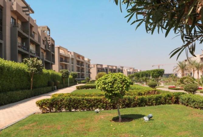 8372437 - صورة العقار 3