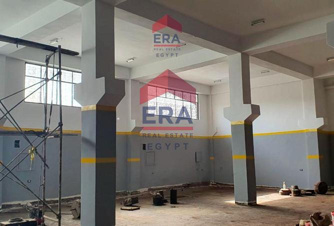 8192575 - Property Image 3