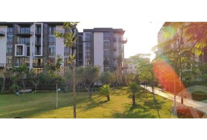 8477325 - Property Image 2