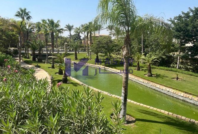8012539 - صورة العقار 3