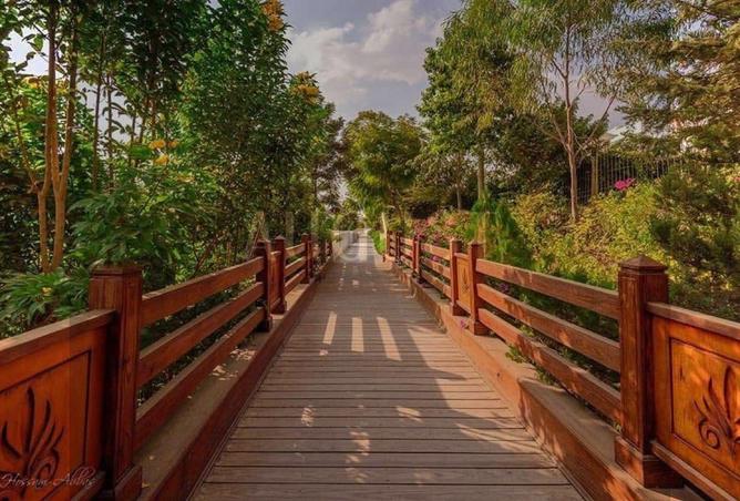 8302859 - Property Image 3