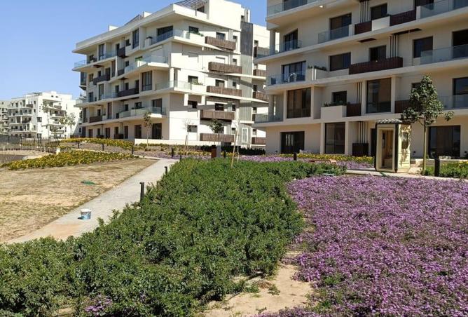 8369628 - Property Image 3