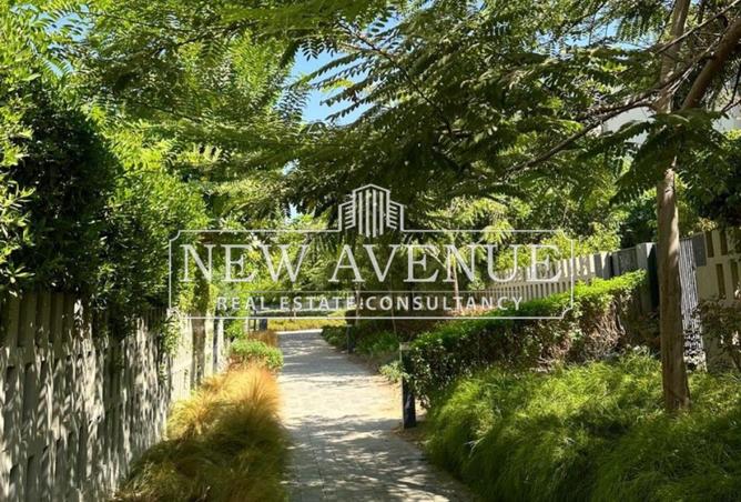 8338624 - Property Image 2