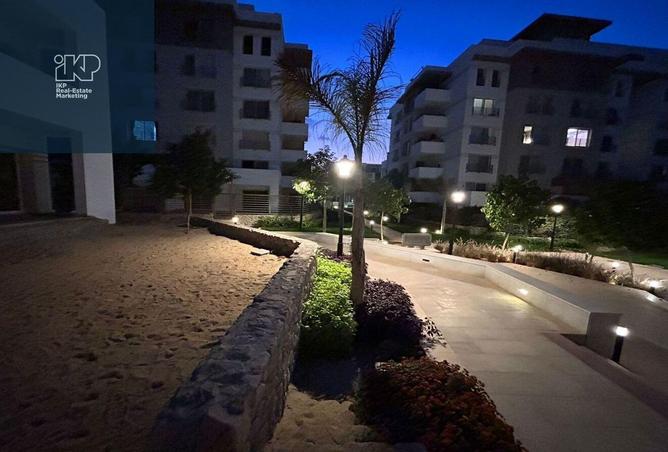 8018758 - صورة العقار 3