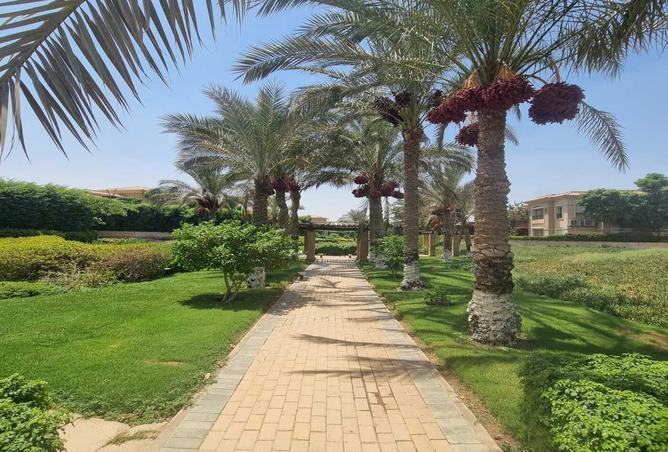 7975041 - صورة العقار 2