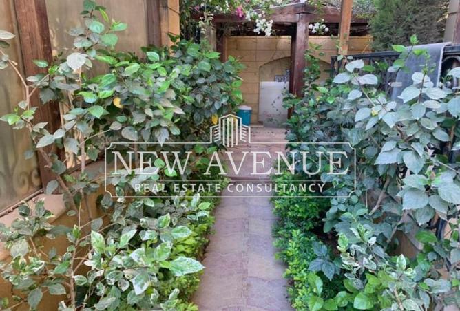 8338640 - Property Image 3