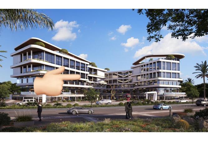 8164753 - صورة العقار 2