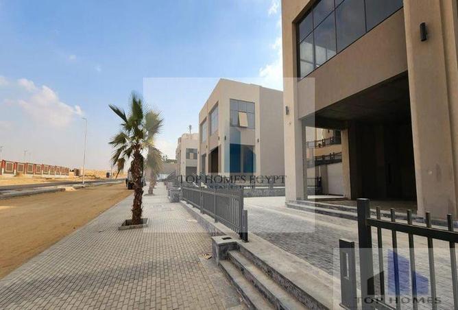 6584698 - Property Image 3