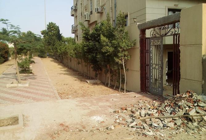 8188398 - Property Image 2