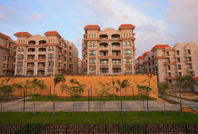 8154482 - Property Image 3