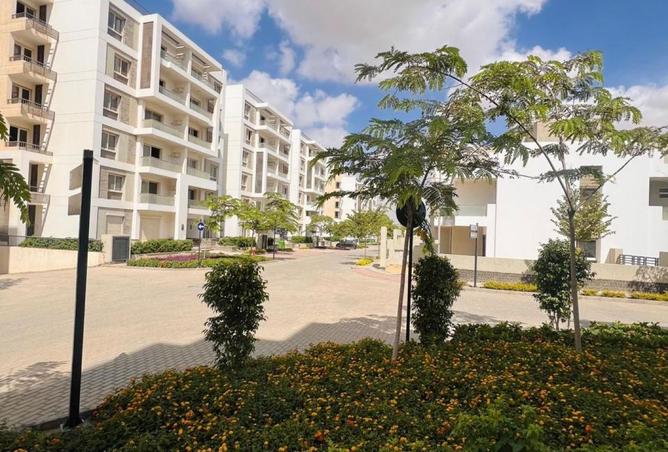 8053008 - Property Image 3