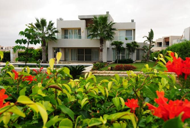 7929166 - Property Image 3