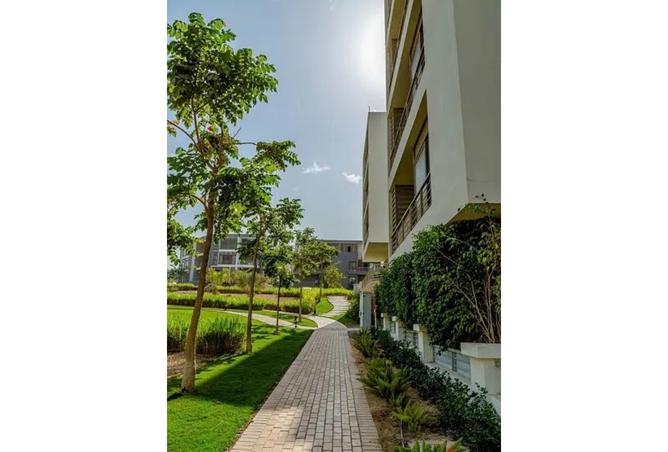 8252618 - Property Image 2