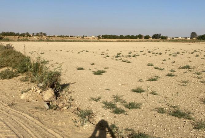 8142155 - صورة العقار 2