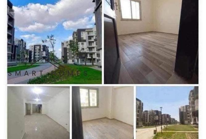 7927984 - Property Image 2