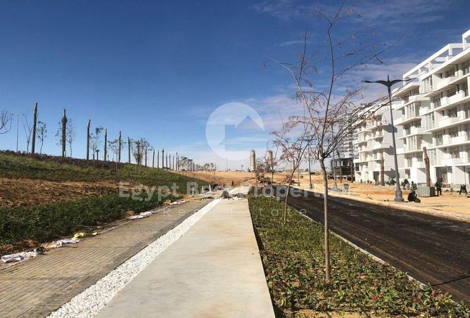 8018906 - Property Image 3
