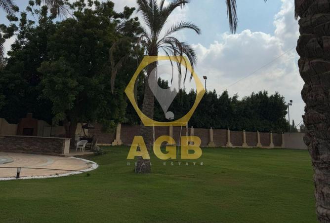 8036754 - صورة العقار 3