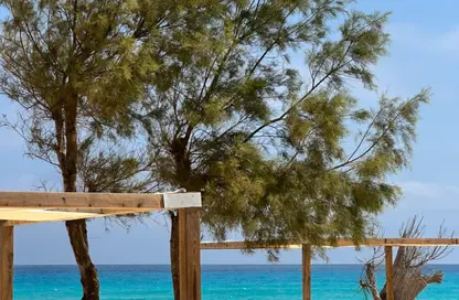 Twin House - 4 Bedrooms - 4 Bathrooms for sale in Marsa Baghush - Qesm Marsa Matrouh - North Coast
