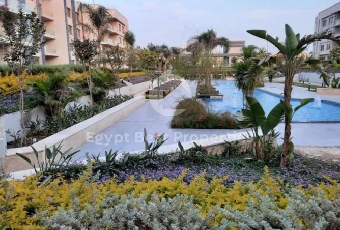 8320559 - Property Image 3