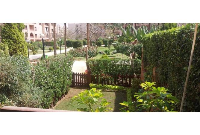 8236303 - صورة العقار 2