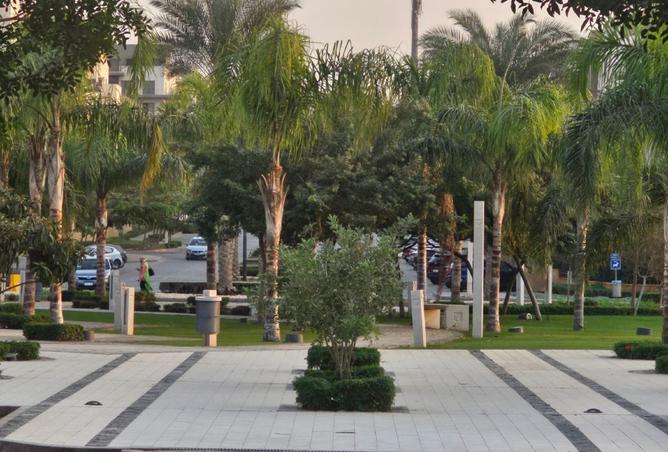 7928249 - صورة العقار 3