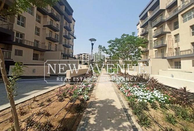 8344774 - Property Image 3