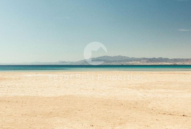 8068554 - Property Image 3
