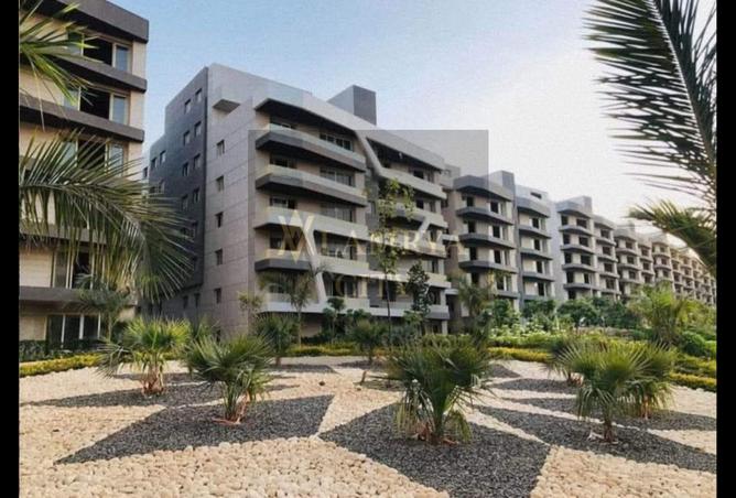 8125032 - Property Image 3