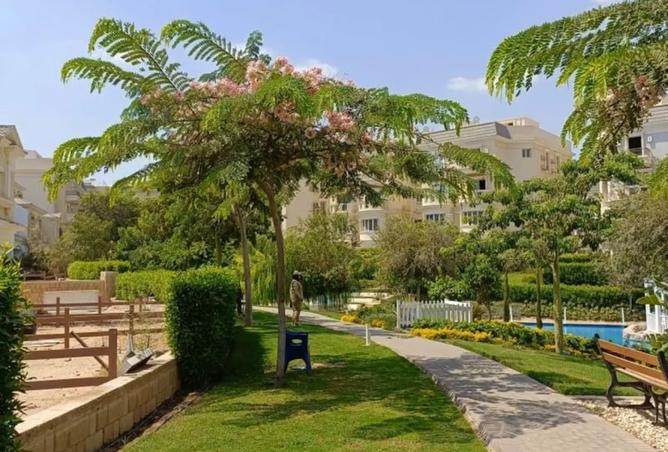 8439209 - Property Image 3