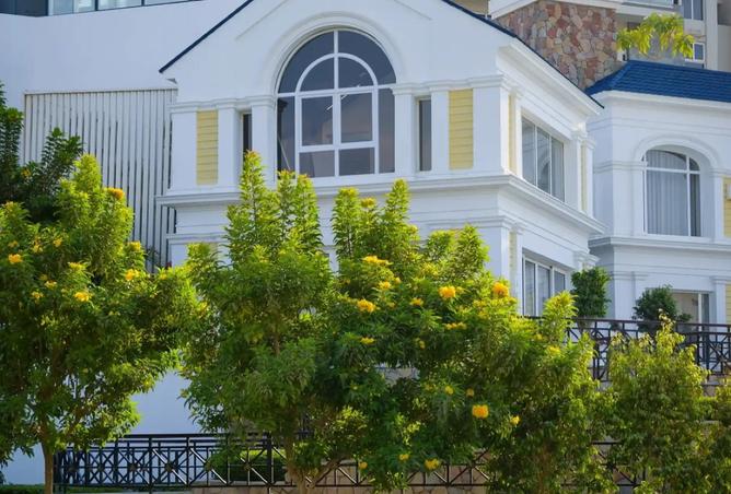 8172460 - Property Image 3