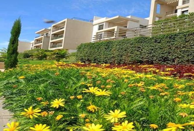 8486911 - Property Image 3