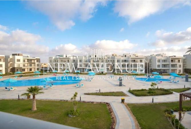 8019255 - صورة العقار 2