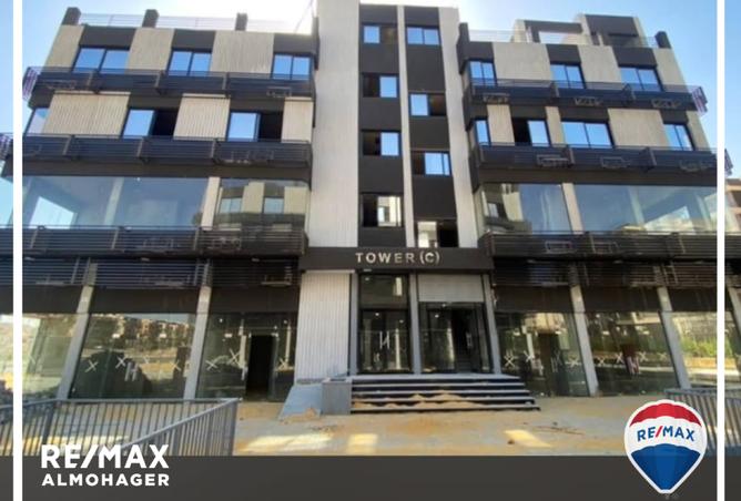 7843997 - Property Image 3