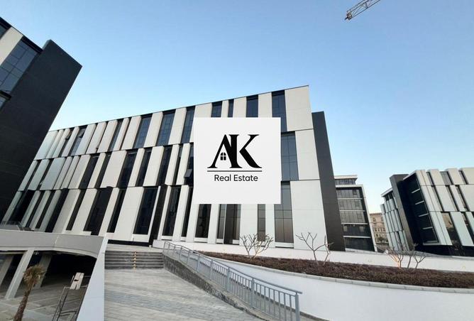 8113201 - Property Image 2