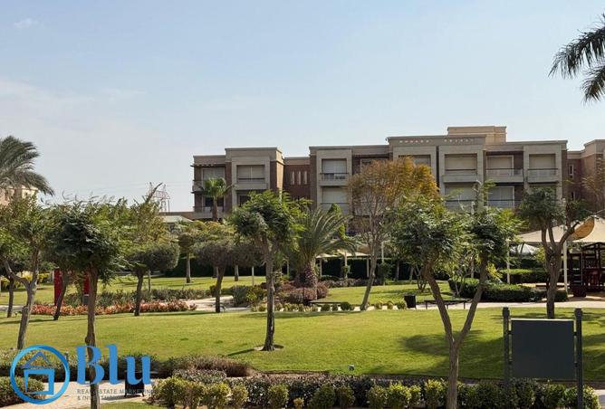 8035715 - صورة العقار 2