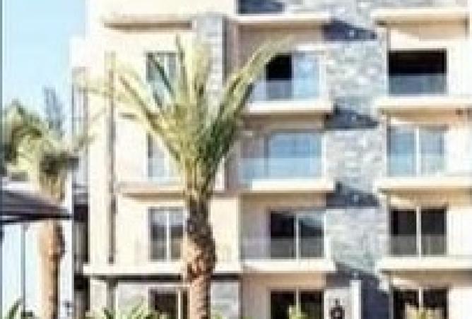 8372995 - Property Image 3