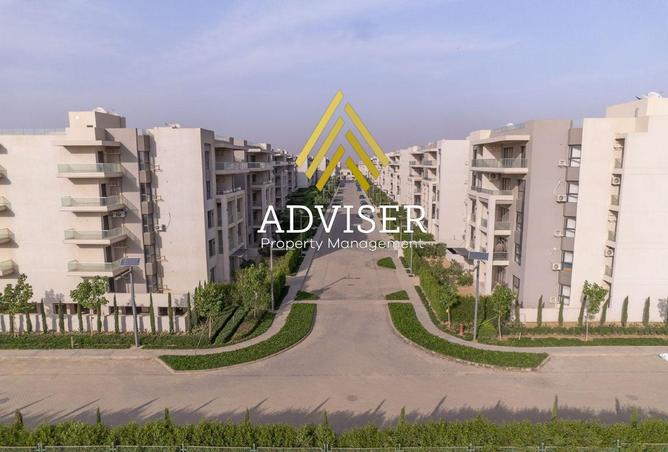 8278659 - Property Image 3