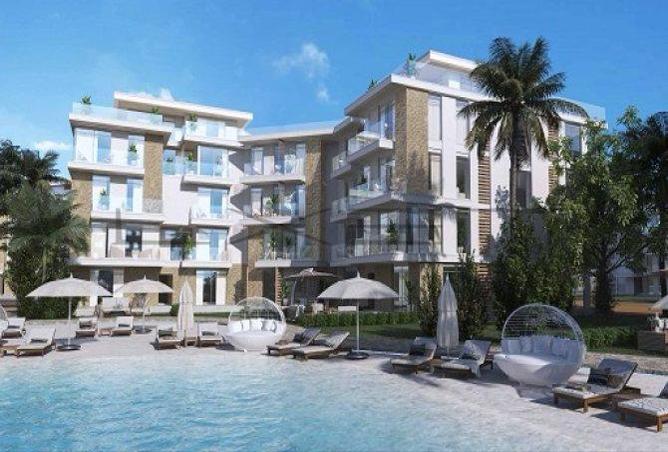 7782305 - Property Image 3