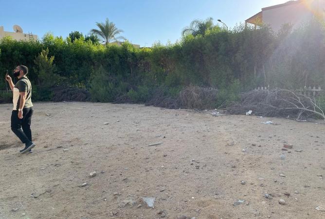 8458425 - صورة العقار 2