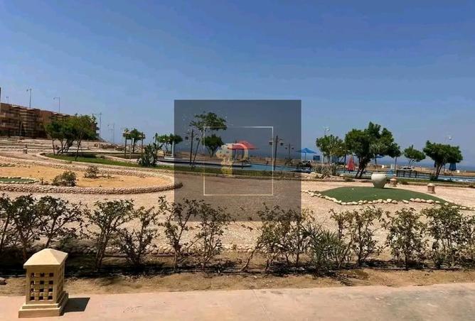 8223144 - صورة العقار 2