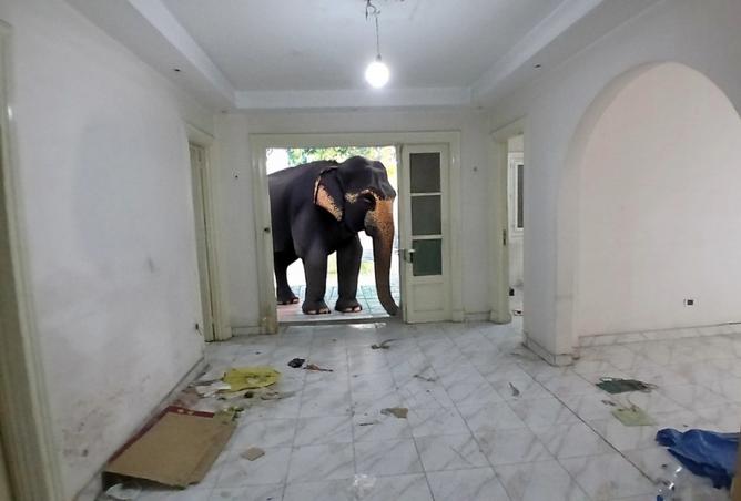 8265317 - Property Main Image