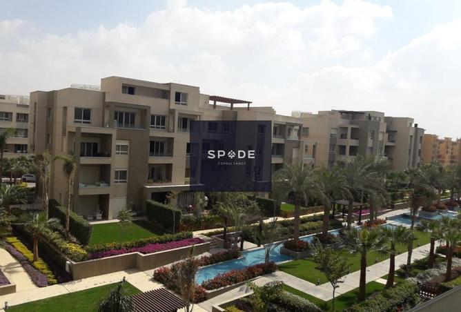 7879196 - Property Image 3