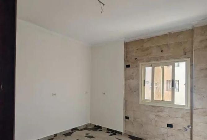 8091792 - Property Image 3