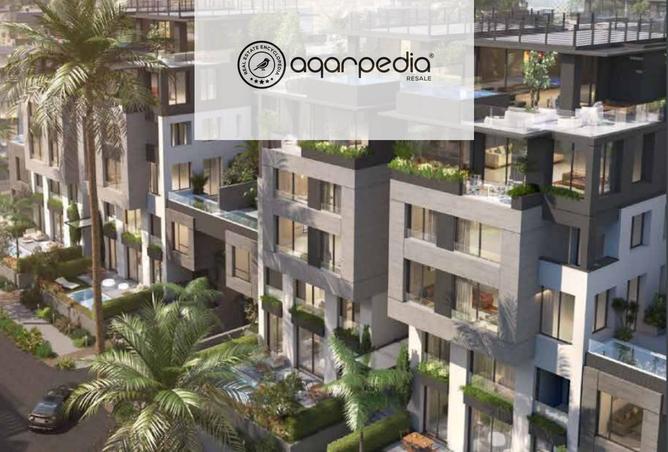 8113564 - Property Image 3