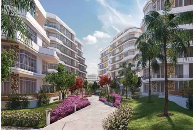 8163040 - صورة العقار 3